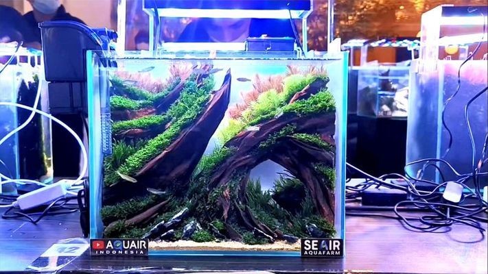 華亭縣隨緣閣花卉水族店（華亭縣隨緣閣花卉水族店電話） 華亭縣隨緣閣花卉水族店（華亭縣隨緣閣花卉水族店電話） 全國水族館企業名錄