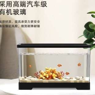 高端魚缸推薦品牌（森森魚缸用戶評價如何）