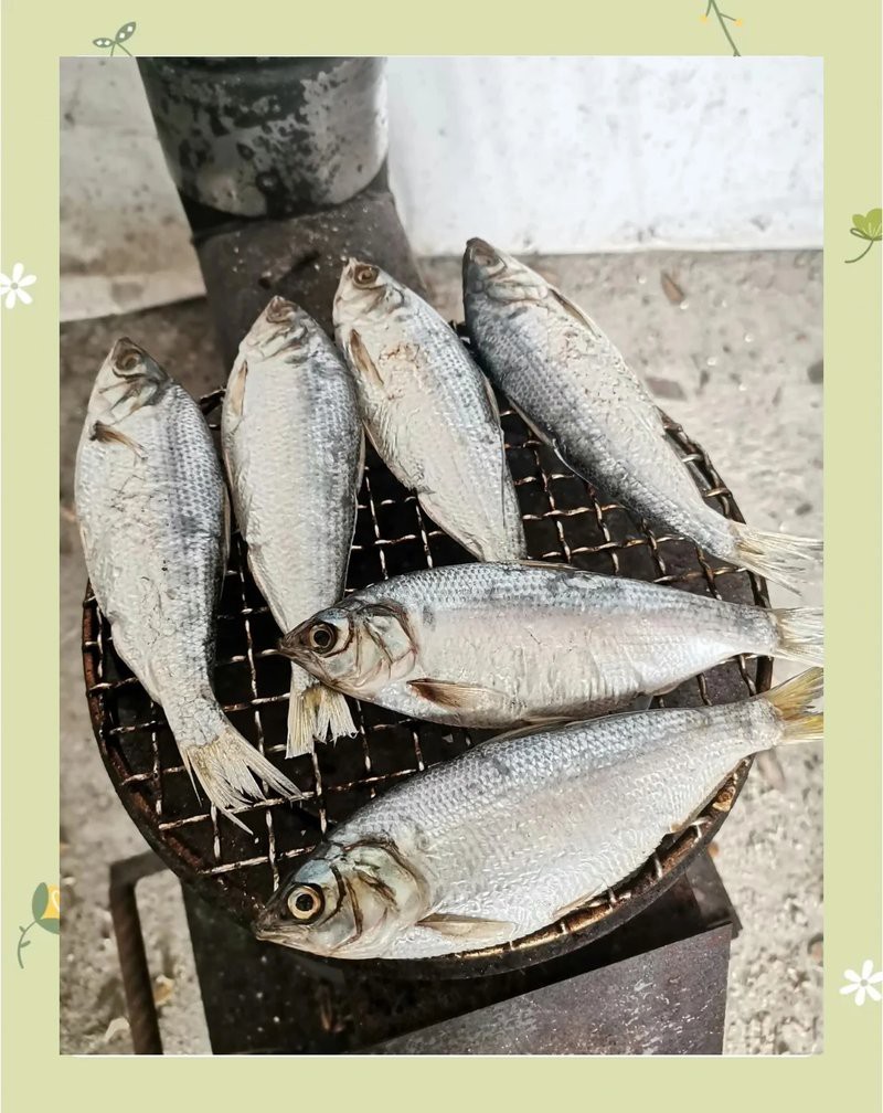 青島十大必吃海魚推薦 青島十大必吃海魚推薦 龍魚論壇 第4張