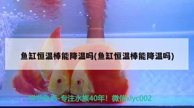 濰坊市坊子區魚翔淺底水族館 濰坊市坊子區魚翔淺底水族館 全國水族館企業名錄 第1張
