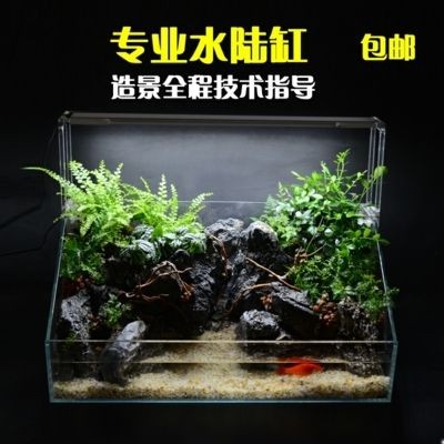 草缸和魚缸的區(qū)別圖片：草缸與魚缸的區(qū)別