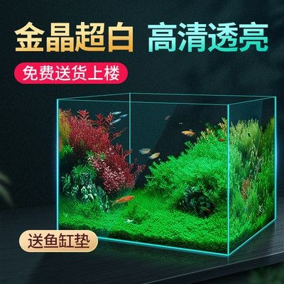 草缸和魚缸的區(qū)別圖片：草缸與魚缸的區(qū)別