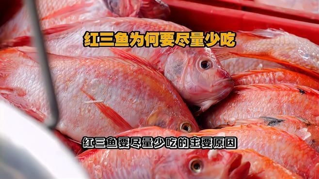 紅三刀魚為什么不建議吃