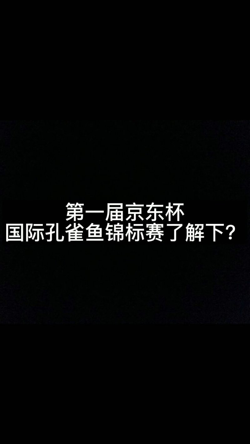 孔雀魚比賽視頻欣賞 孔雀魚比賽視頻欣賞 2025長城杯龍魚大賽 第3張