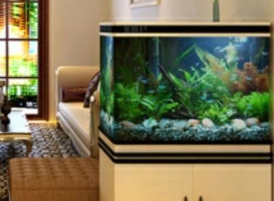 房間放魚缸會風濕（房間放魚缸會增加室內(nèi)濕度嗎？） 房間放魚缸會風濕（房間放魚缸會增加室內(nèi)濕度嗎？） 魚缸百科 第4張