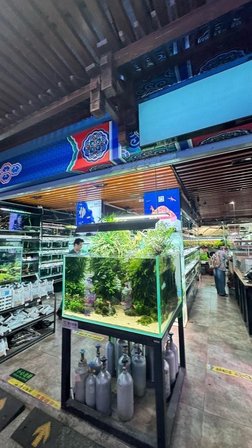 壹遇龍魚水族的具體位置在哪里？