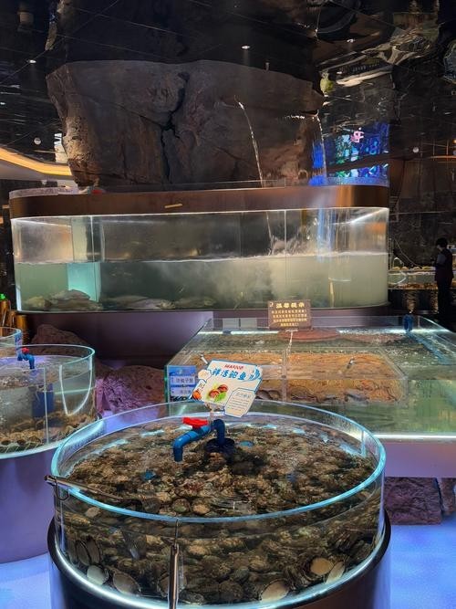 壹遇龍魚水族的具體位置在哪里？