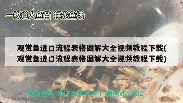 銀龍魚水溫(銀龍魚水溫最低多少度) 銀龍魚百科 第2張 銀龍魚水溫(銀龍魚水溫最低多少度) 銀龍魚水溫(銀龍魚水溫最低多少度) 銀龍魚百科 第2張