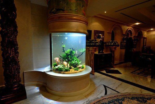 辦公室風(fēng)水魚缸設(shè)計(jì)的科學(xué)依據(jù):辦公室風(fēng)水魚缸的科學(xué)依據(jù) 魚缸百科 第1張 辦公室風(fēng)水魚缸設(shè)計(jì)的科學(xué)依據(jù):辦公室風(fēng)水魚缸的科學(xué)依據(jù) 辦公室風(fēng)水魚缸設(shè)計(jì)的科學(xué)依據(jù):辦公室風(fēng)水魚缸的科學(xué)依據(jù) 魚缸百科 第1張