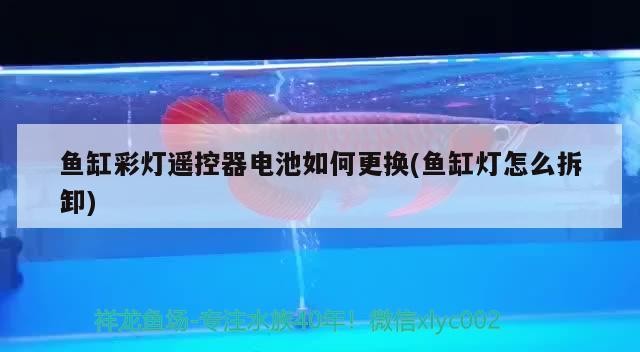 銀龍魚變色了怎么回事兒（銀龍魚變色了怎么回事兒視頻）