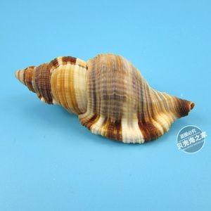 佛像魚缸造景裝飾的藝術(shù)水族箱裝飾藝術(shù)形式和注意事項(xiàng)：佛像魚缸造景