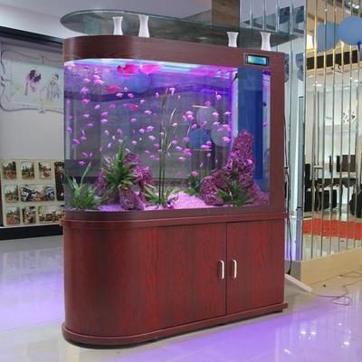 店鋪里魚缸什么形狀的好（店鋪里魚缸的形狀選擇不僅是一個裝飾問題，也是一個風水問題）