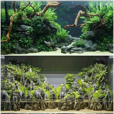 魚缸造景的基礎(chǔ)知識：對于很深的魚缸造景可以通過以下幾個步驟來實現(xiàn)