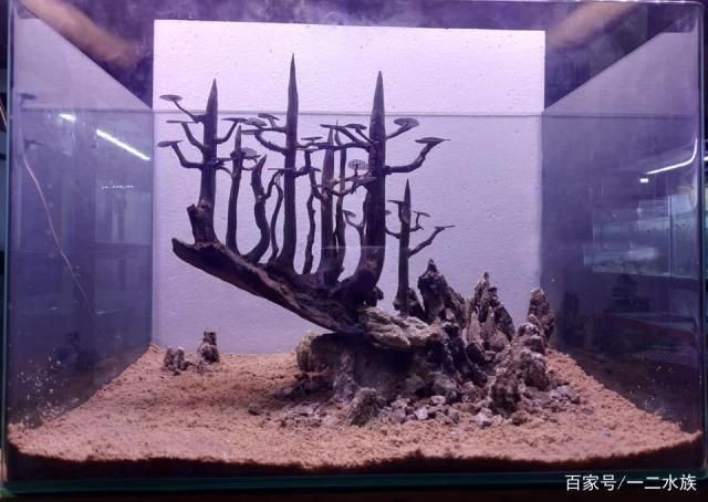 魚缸造景的基礎(chǔ)知識：對于很深的魚缸造景可以通過以下幾個步驟來實現(xiàn)