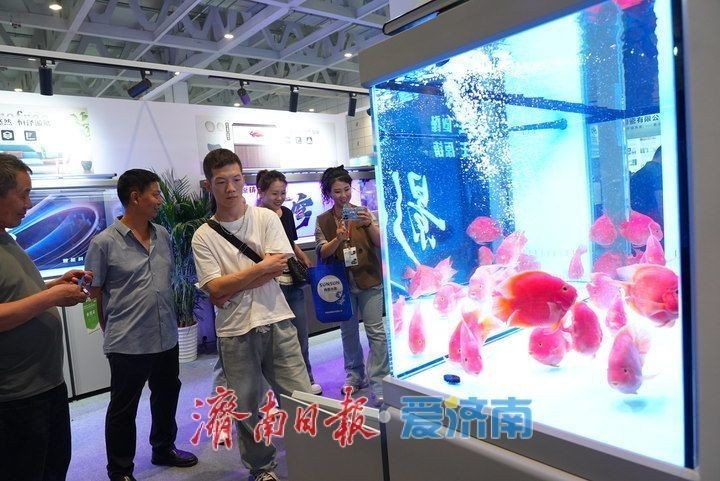 濟南水族展會幾號開始 濟南水族展會幾號開始 2025長城杯龍魚大賽 第5張