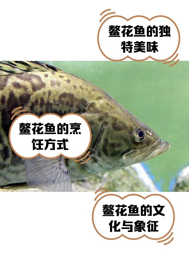 如何烹飪黑龍江鰲花魚？