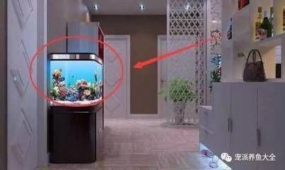 西南方位魚(yú)缸擺放的最佳尺寸：西南方位魚(yú)缸擺放的最佳尺寸應(yīng)綜合考慮風(fēng)水和實(shí)際尺寸 西南方位魚(yú)缸擺放的最佳尺寸：西南方位魚(yú)缸擺放的最佳尺寸應(yīng)綜合考慮風(fēng)水和實(shí)際尺寸 魚(yú)缸百科 第4張