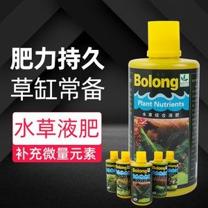 博龍魚缸，博龍魚缸怎么樣 博龍魚缸，博龍魚缸怎么樣 魚缸百科 第5張