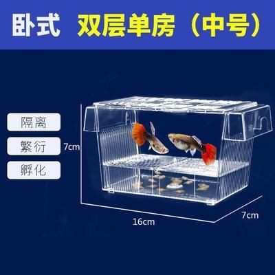 魚缸隔離能繁殖小魚嗎：如何使用魚缸隔離繁殖小魚 魚缸隔離能繁殖小魚嗎：如何使用魚缸隔離繁殖小魚 魚缸百科 第3張