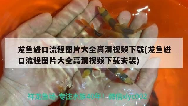 魚缸過濾怎么改造（上濾魚缸可以改下濾嗎）