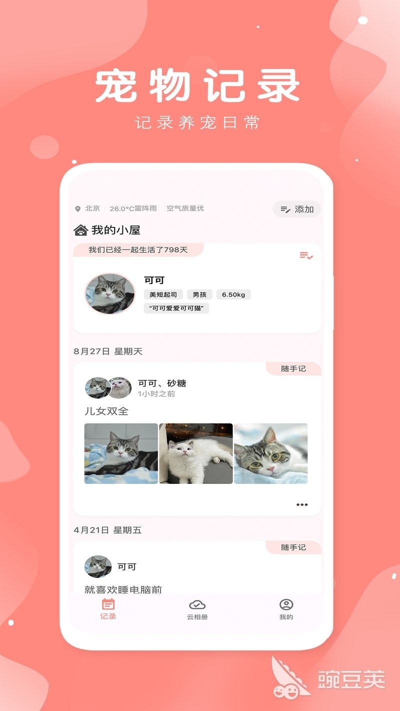 寵物售賣平臺 寵物售賣平臺 2025長城杯龍魚大賽 第3張