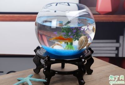 魚缸多久一次換水