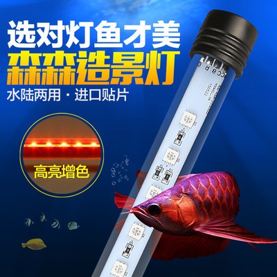 什么品牌的魚缸加熱棒質量好（魚缸加熱棒品牌推薦）