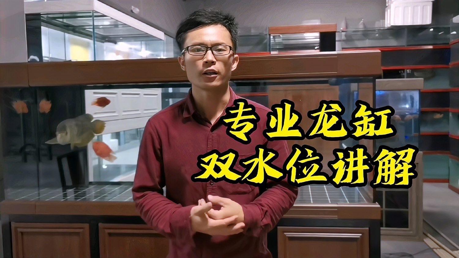 龍魚缸有必要雙水位嗎