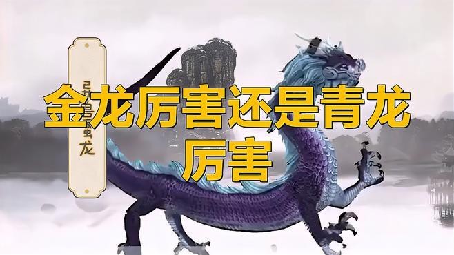 金龍和青龍的區別