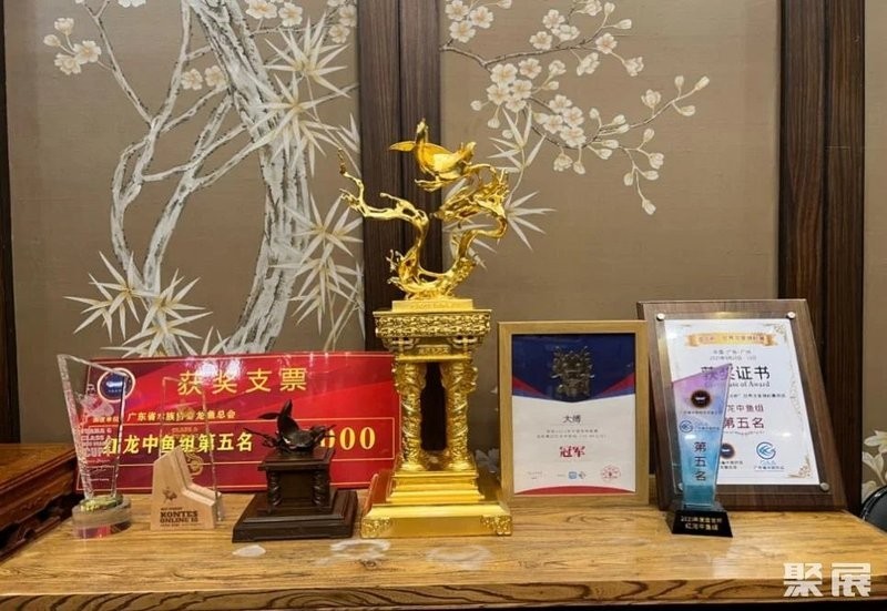 有哪些知名的龍魚養(yǎng)殖基地參加了比賽？