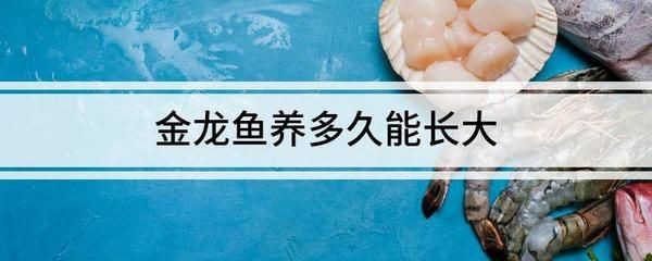 紅尾金龍魚什么時候發色（關于紅尾金龍魚發色的問題）
