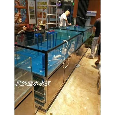 定制海鮮魚缸多少錢一個（個性化定制魚缸的藝術(shù)與技術(shù)）