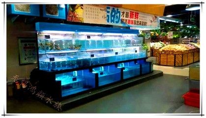定制海鮮魚缸多少錢一個（個性化定制魚缸的藝術(shù)與技術(shù)）