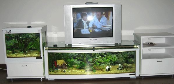 電視機柜魚缸（電視柜上放魚缸是有講究的，）