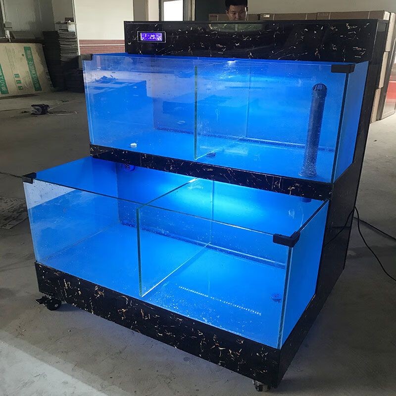 海鮮專用魚缸設(shè)計(jì)的藝術(shù)水族箱設(shè)計(jì)的藝術(shù)水族箱設(shè)計(jì)：海洋生態(tài)揭秘海鮮專用魚缸設(shè)計(jì)的藝術(shù)水族箱設(shè)計(jì)藝術(shù)水族箱設(shè)計(jì)