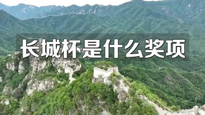 長城杯金質獎和銀質獎有何區別？ 長城杯金質獎和銀質獎有何區別？ 2025長城杯龍魚大賽 第8張