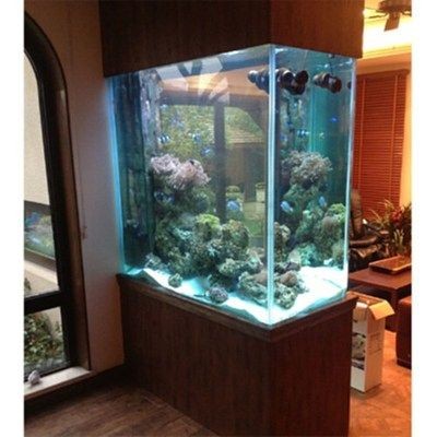 訂做魚缸設(shè)計(jì)大全：定制魚缸設(shè)計(jì)的一些詳細(xì)信息