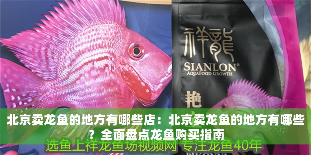 <strong><mark>北京</mark></strong>賣龍魚的地方有哪些店：<strong><mark>北京</mark></strong>賣龍魚的地方有哪些？全面盤點龍魚購買指南