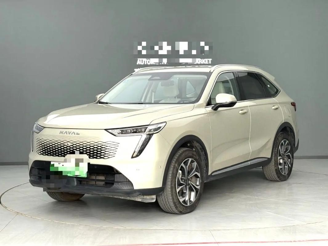 長城紅龍喜2023款價格表及圖片大全