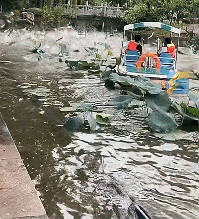 水庫晚上炸水一般是什么魚 水庫晚上炸水一般是什么魚 龍魚論壇 第5張