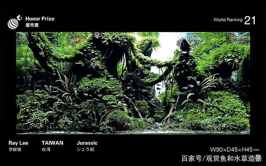 草缸國際大賽的評選標準是什么？