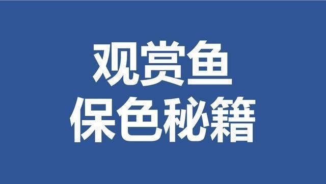 紅龍2020年印地語版評分如何？