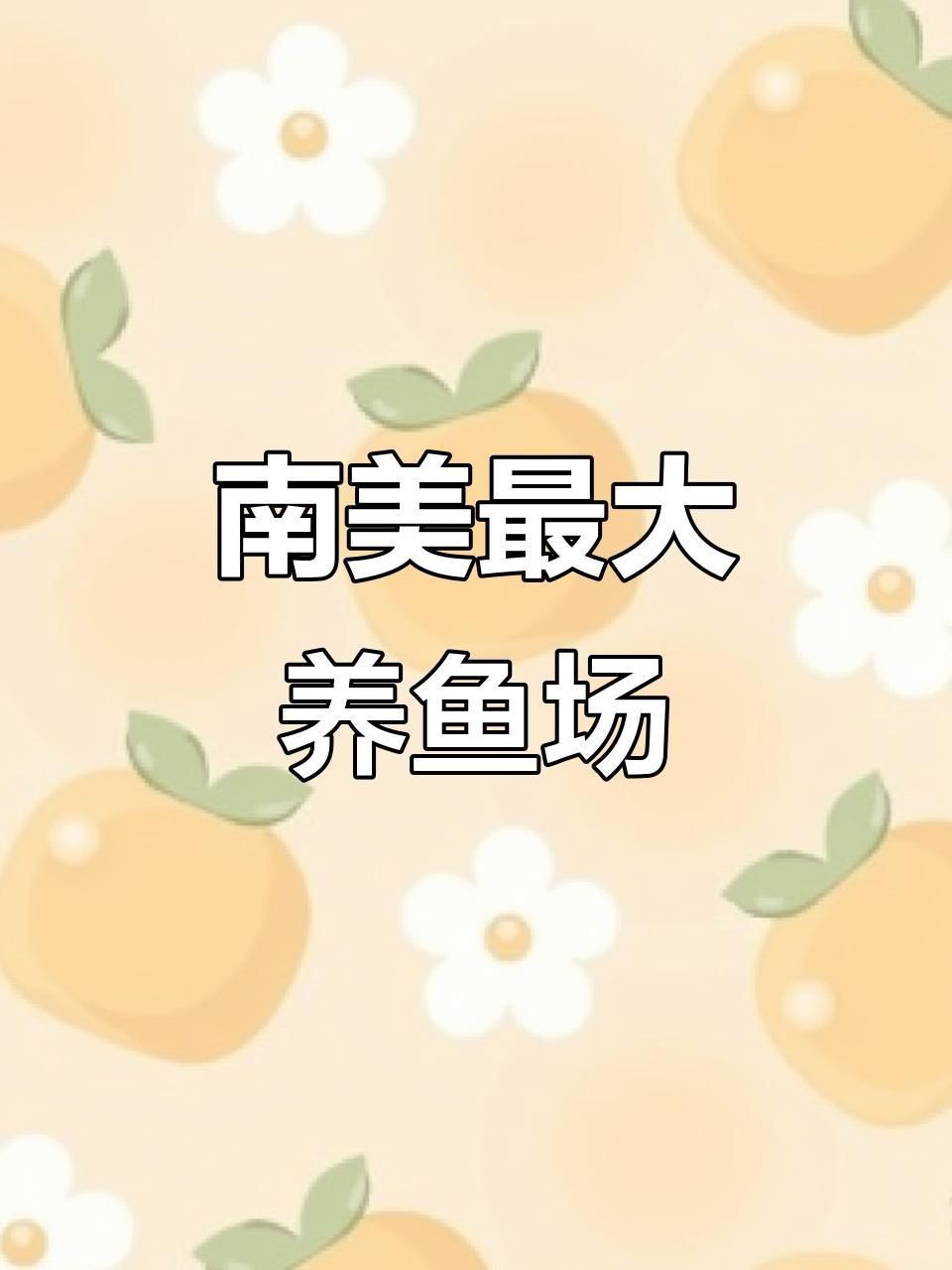 觀賞魚在什么地方