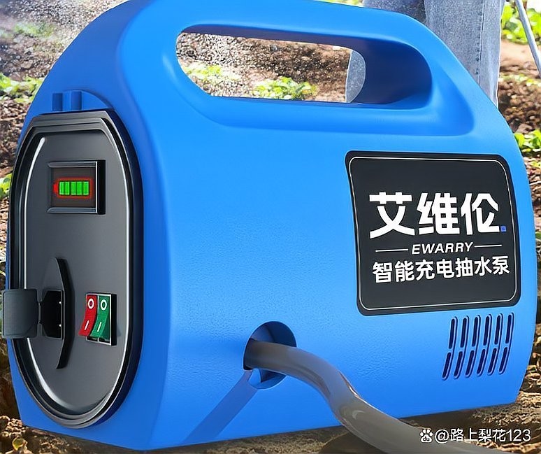 這些品牌紅龍的價格差異大嗎？