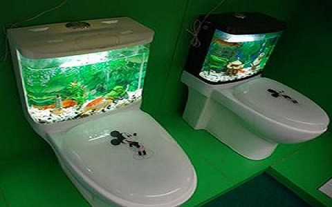 珠海市香洲這里有魚水族館（珠海市香洲這里有魚水族館嗎） 珠海市香洲這里有魚水族館（珠海市香洲這里有魚水族館嗎） 全國水族館企業名錄