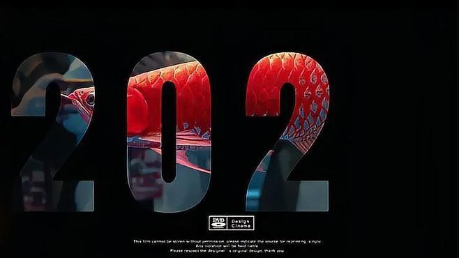 龍魚2024年賽程表最新 2025長城杯龍魚大賽 第3張 龍魚2024年賽程表最新 龍魚2024年賽程表最新 2025長城杯龍魚大賽 第3張