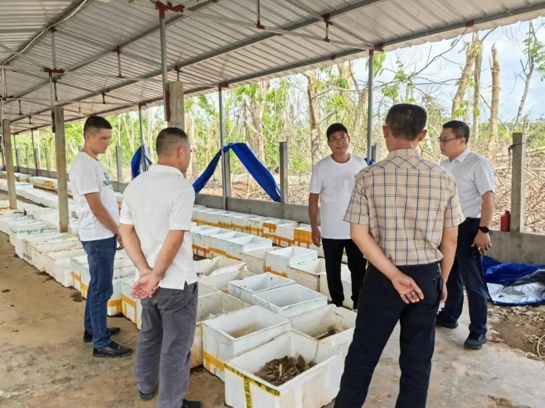如何聯系廣州的龍魚養殖場？