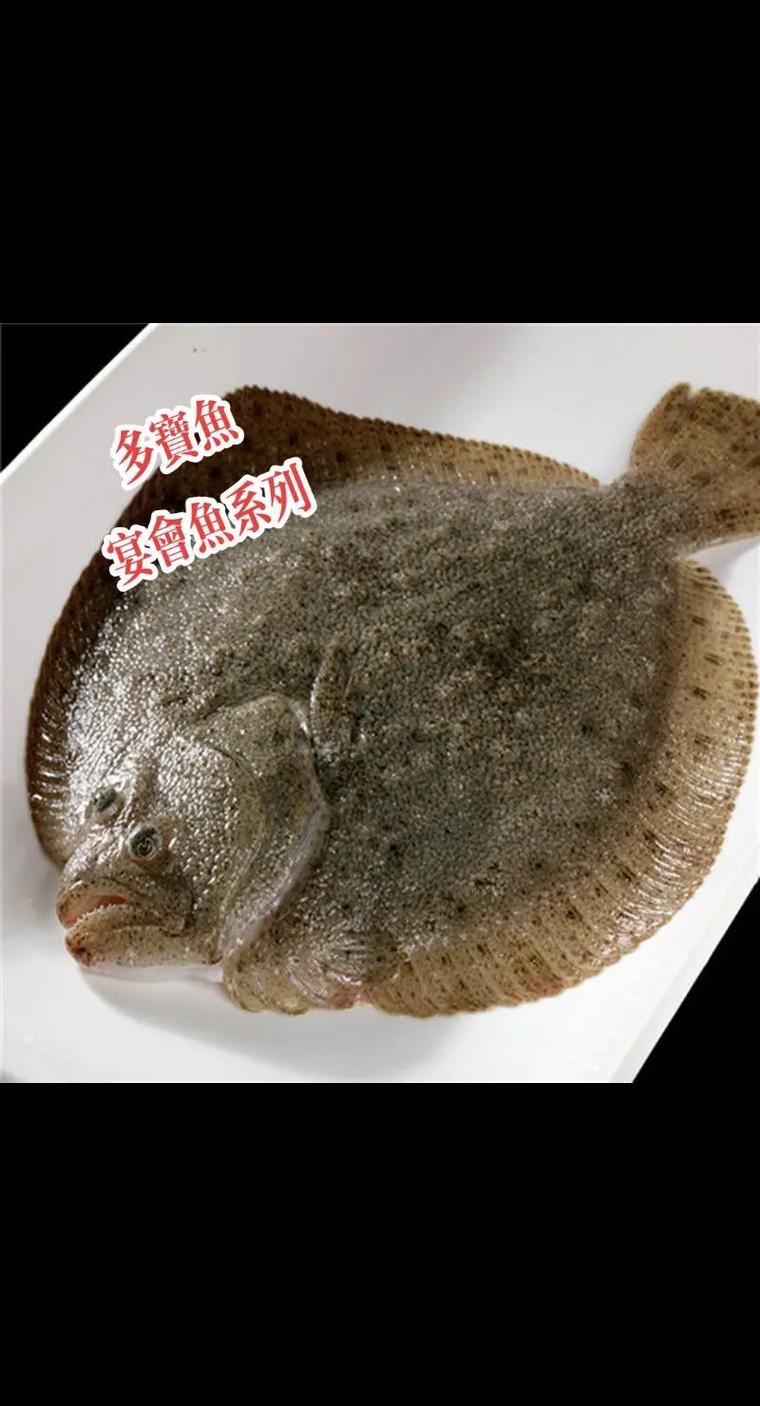 多寶魚圖片 龍魚論壇 第4張 多寶魚圖片 多寶魚圖片 龍魚論壇 第4張