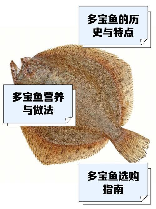 多寶魚圖片 龍魚論壇 第8張 多寶魚圖片 多寶魚圖片 龍魚論壇 第8張