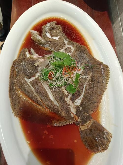 多寶魚圖片 龍魚論壇 第10張 多寶魚圖片 多寶魚圖片 龍魚論壇 第10張